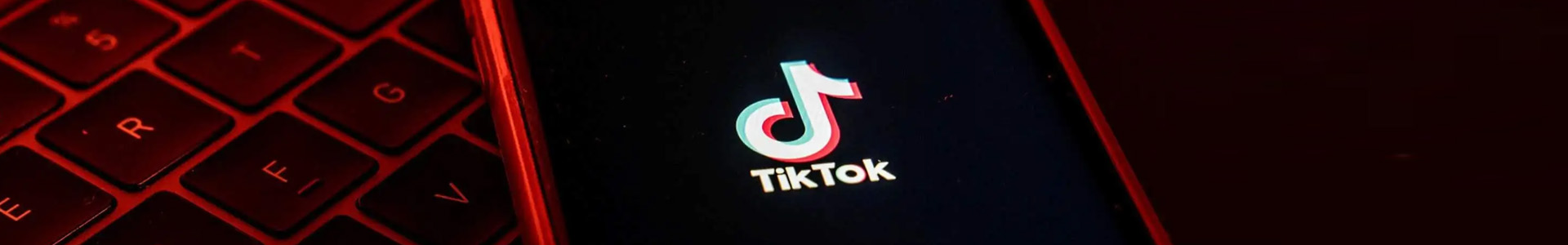 绍兴Tiktok推广 第2张